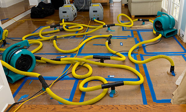 Professional Sewage Cleanup technician working in Arlington, VA